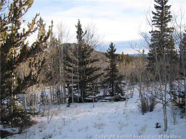 54 Pepperbox Path Como, CO 80432 - Photo 7 of 9 Gallery Image 7