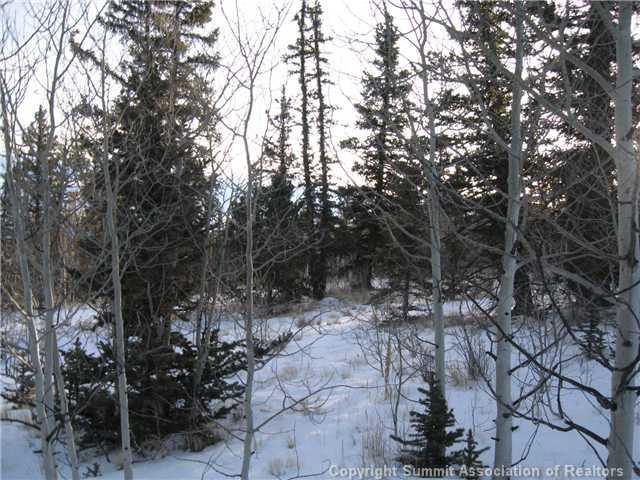 54 Pepperbox Path Como, CO 80432 - Photo 8 of 9 Gallery Image 8