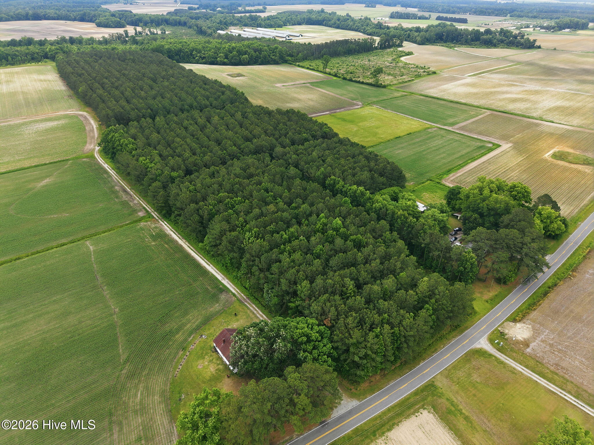0 Fire Tower Road Walstonburg, NC 27888 - Photo 5 of 10 5-web-or-mls-DJI_20260511115118_0015_D_e