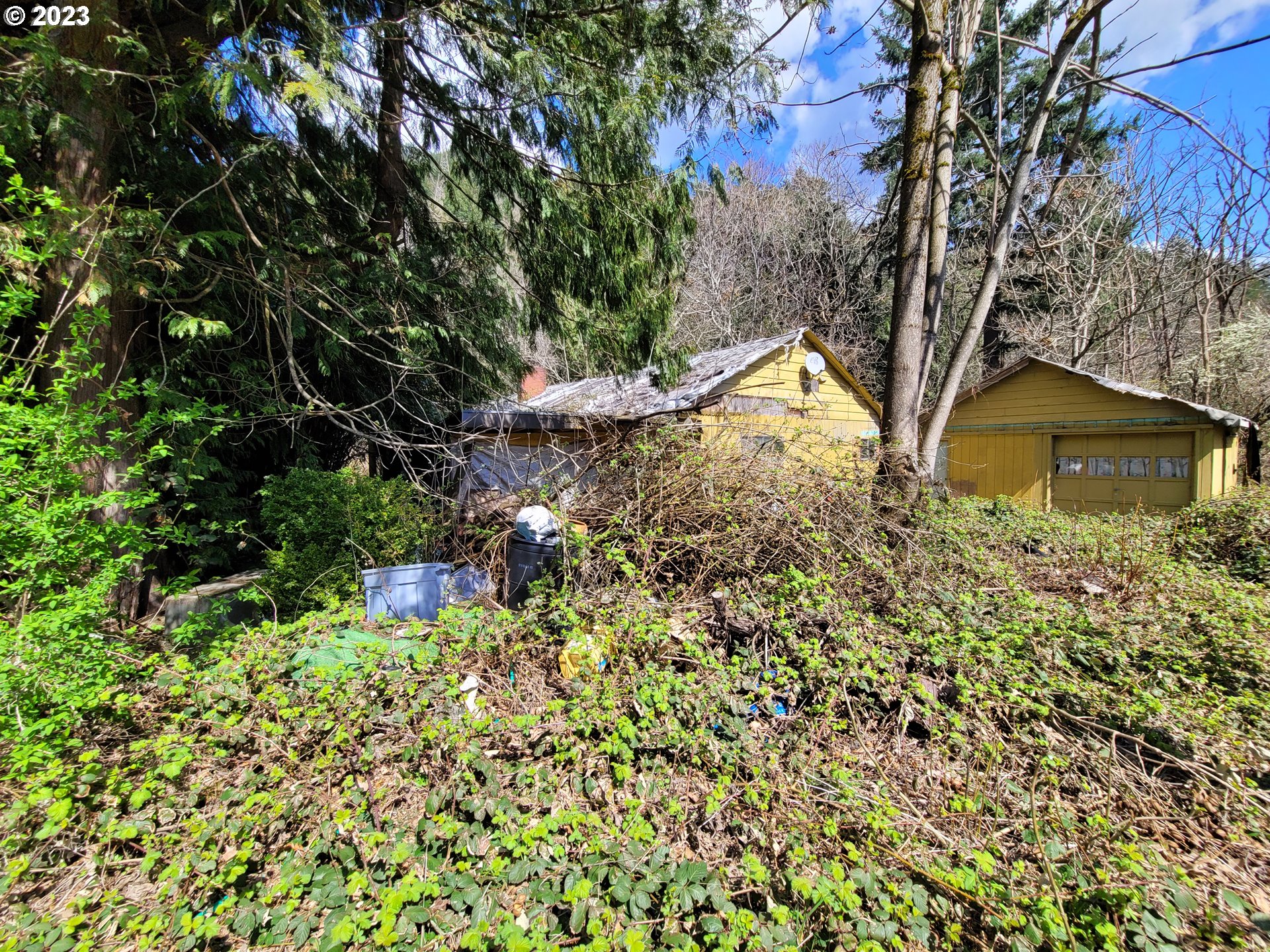41 Prindle Road Washougal, WA 98671 - Photo 1 of 10 Gallery Image 1