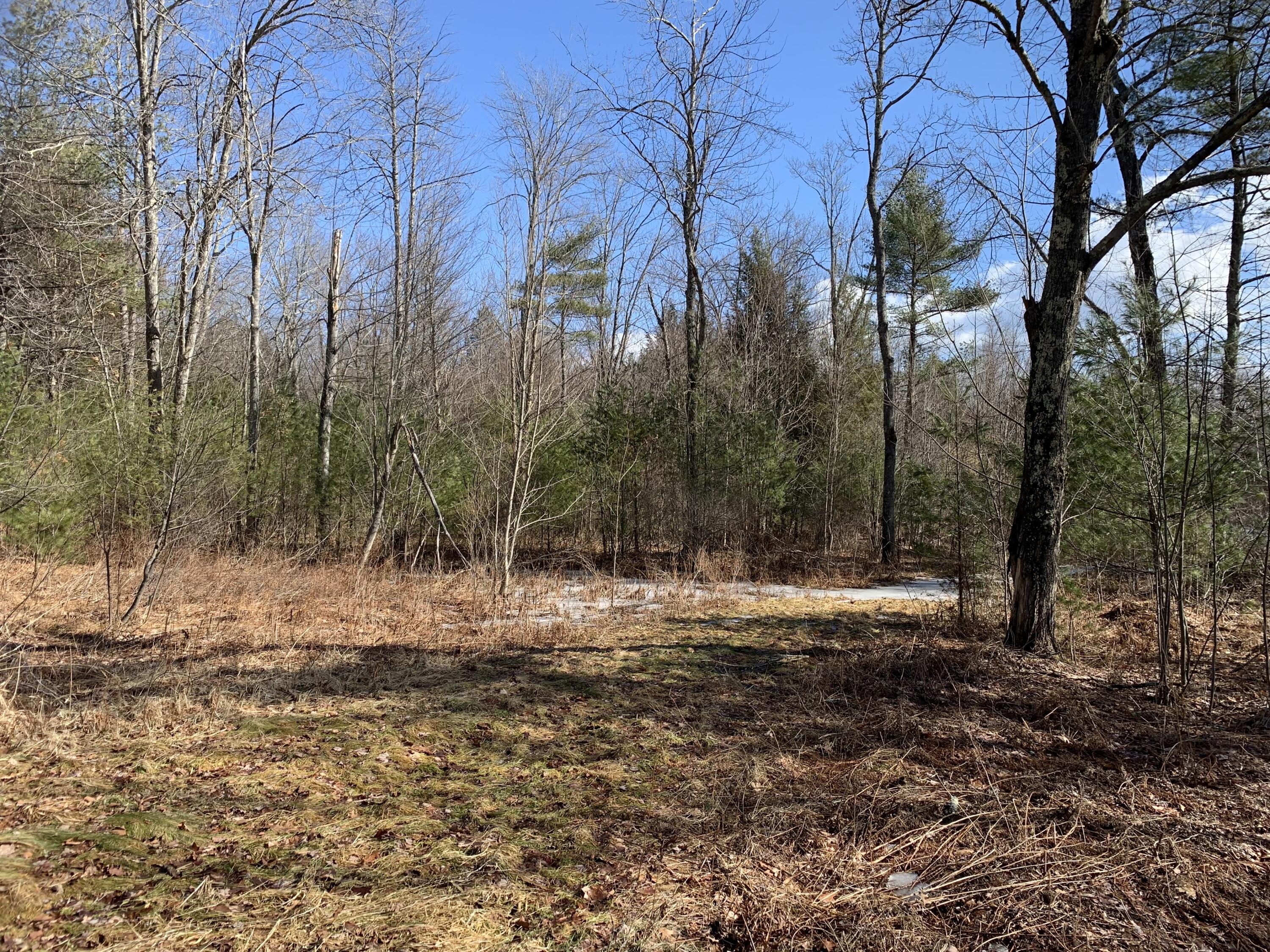 0 Bragdon Road Wells, ME 04090 - Photo 5 of 5 IMG_8566