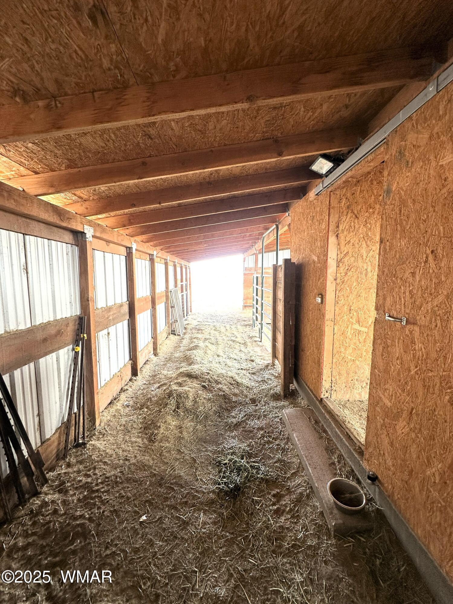7 County Road Springerville, AZ 85938 - Photo 47 of 56 REAR AREA OF THE HORSE STALLS