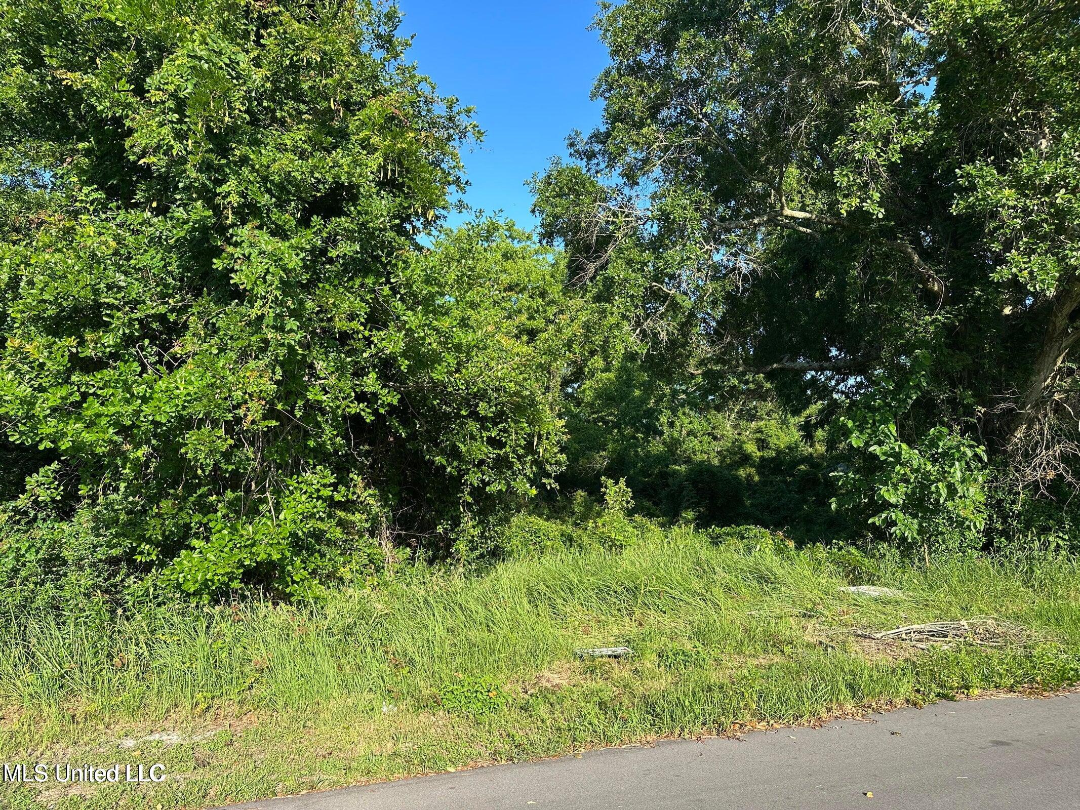 20250523184126933900000000-o