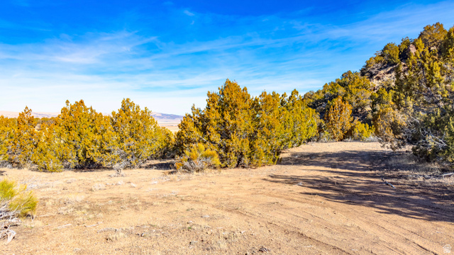 0 County Road 28 Levan, UT 84639 - Photo 78 of 207