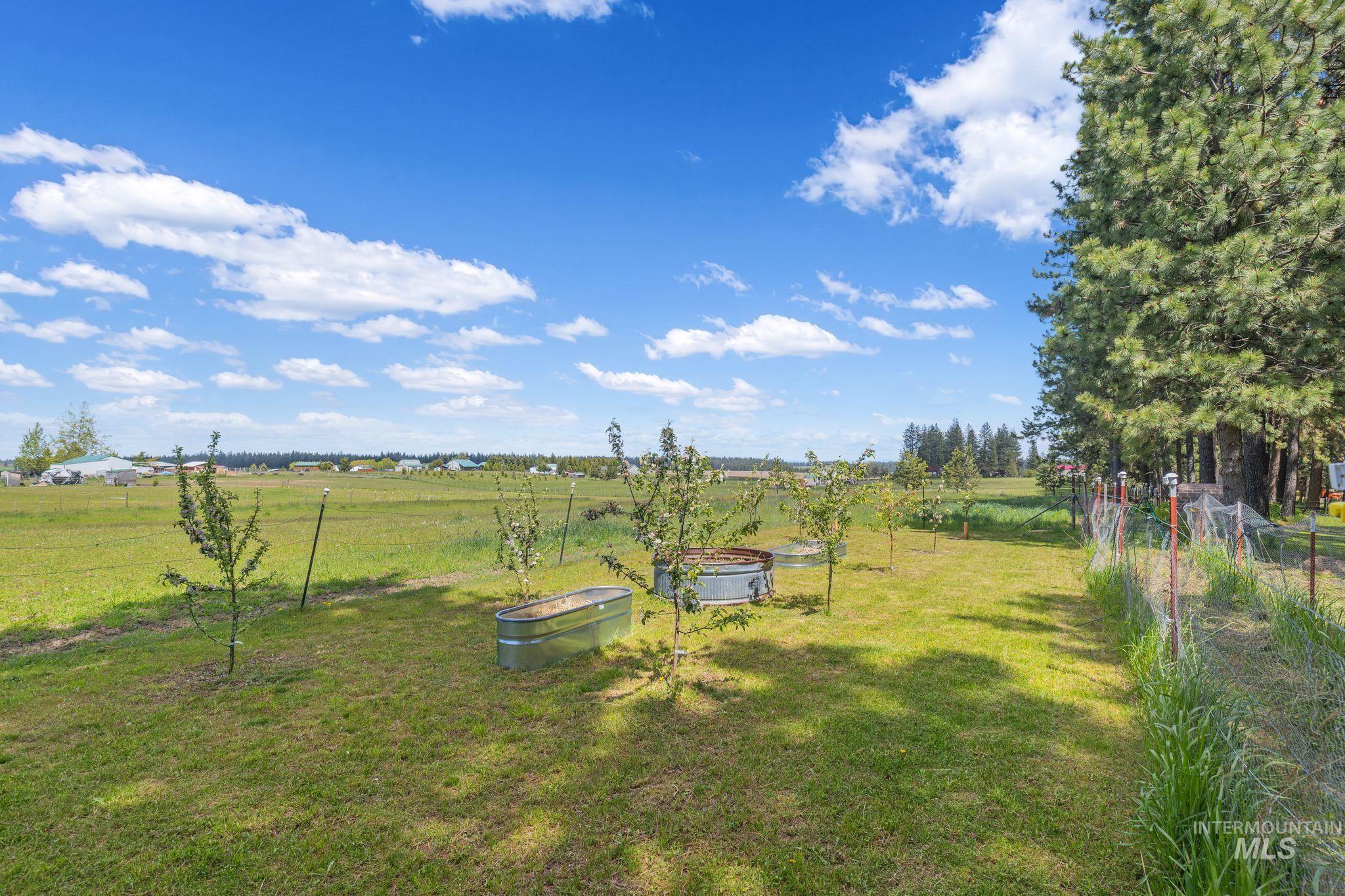 1820 Winchester Road Winchester, ID 83555 - Photo 36 of 50 Expansive outdoor space featuring a grass lawn, established trees, a wire fence, and distant natural scenery