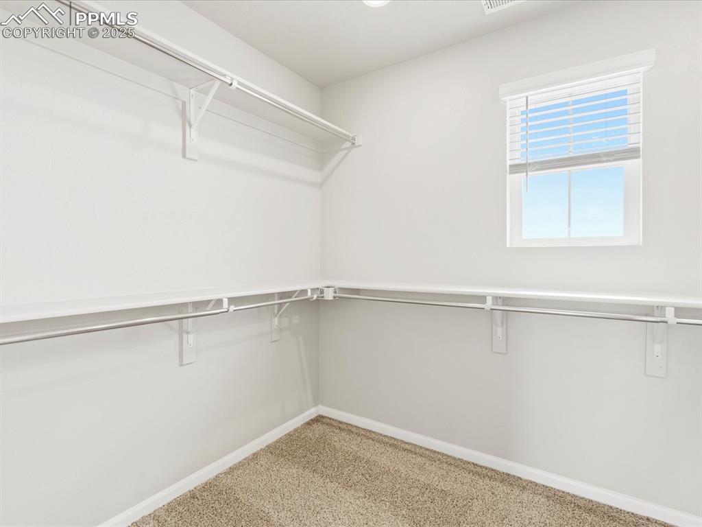 10636 Waterloo Drive Peyton, CO 80831 - Photo 25 of 36 Spacious closet with carpet
