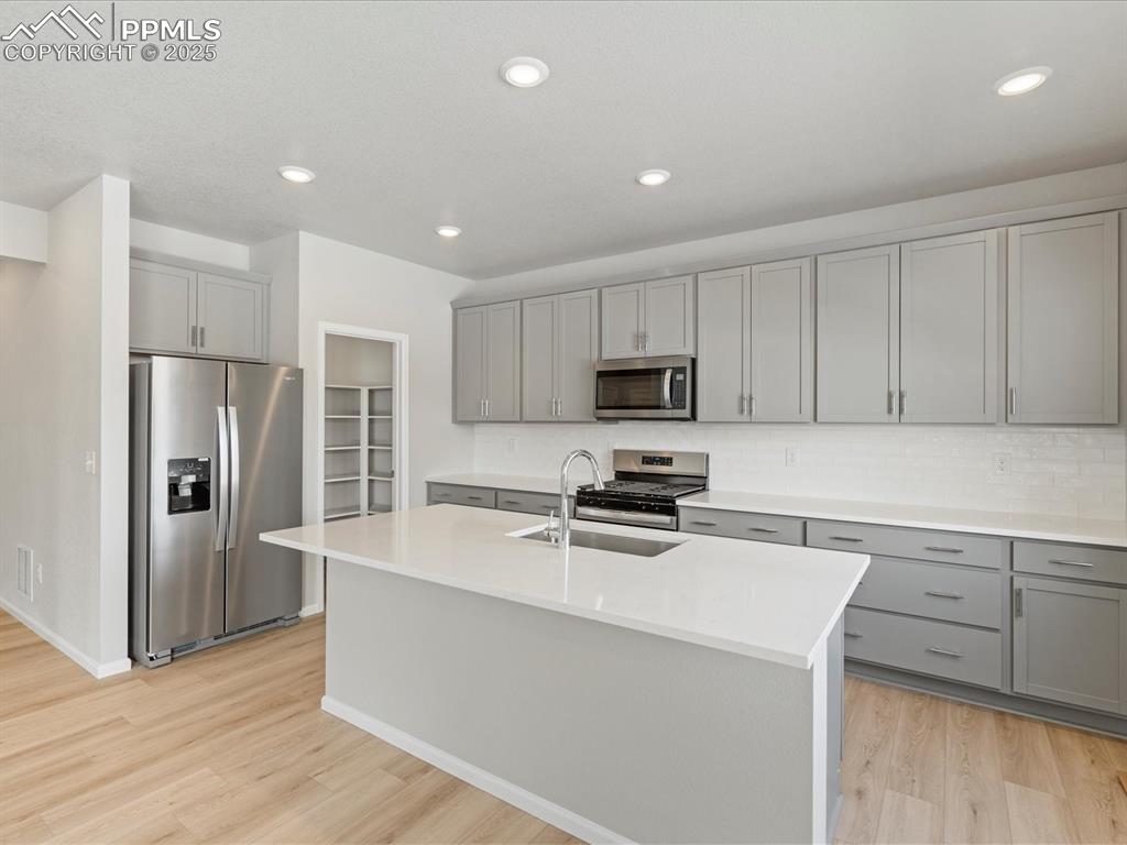 10636 Waterloo Drive Peyton, CO 80831 - Photo 4 of 36 Kitchen featuring appliances with stainless steel finishes, light wood-type flooring, gray cabinetry, and a sink