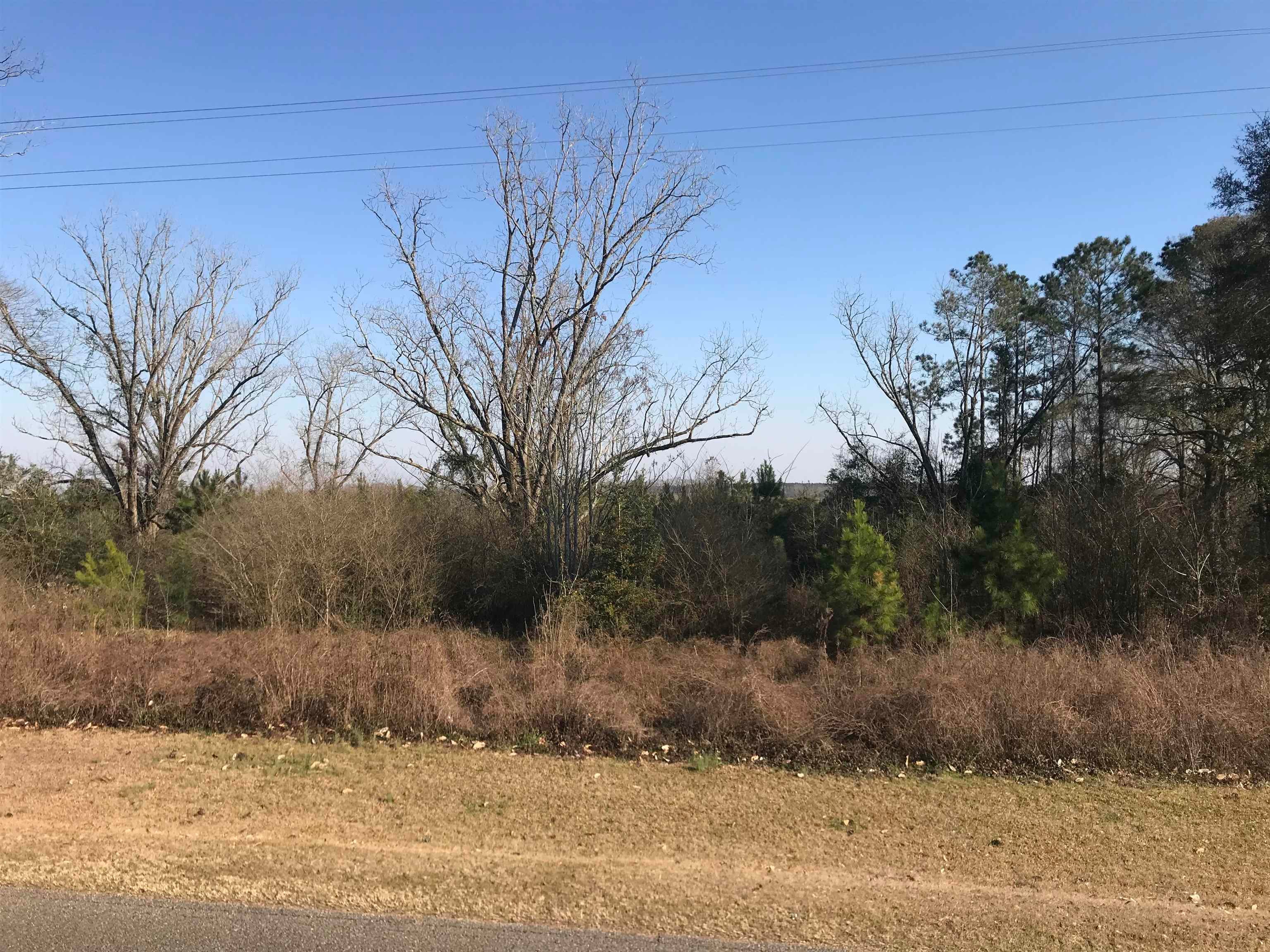 22-ac Hesters Store Road Red Level, AL 36474 - Photo 3 of 7 Gallery Image 3