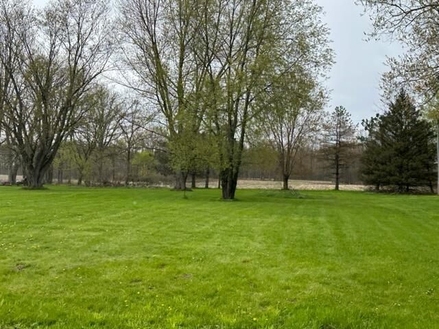 0 Losey Road Pleasant Lake, MI 49272 - Photo 3 of 3 IMG_0348
