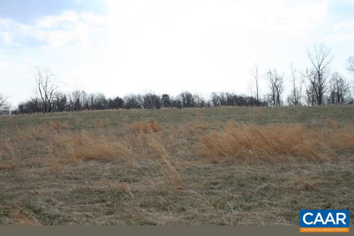 Kirtley Road Leon, VA 22725 - Photo 4 of 19 a view of a field with trees in background