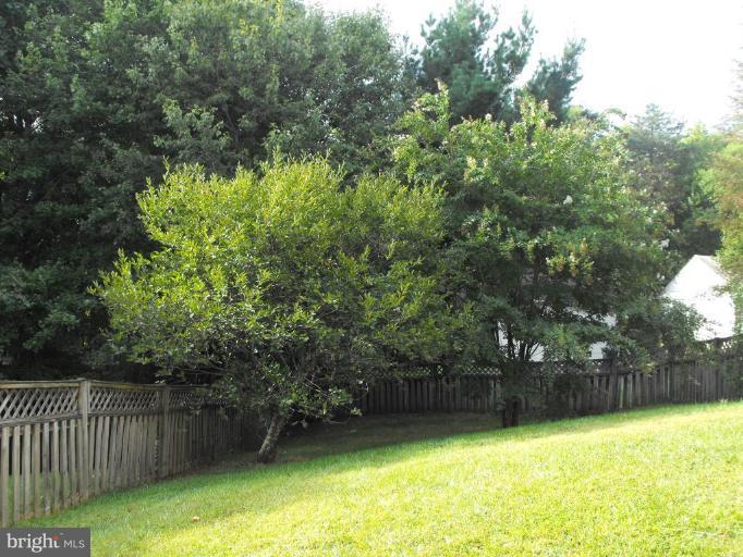 8803 Shadowlake Way Springfield, VA 22153 - Photo 11 of 17 Back yard