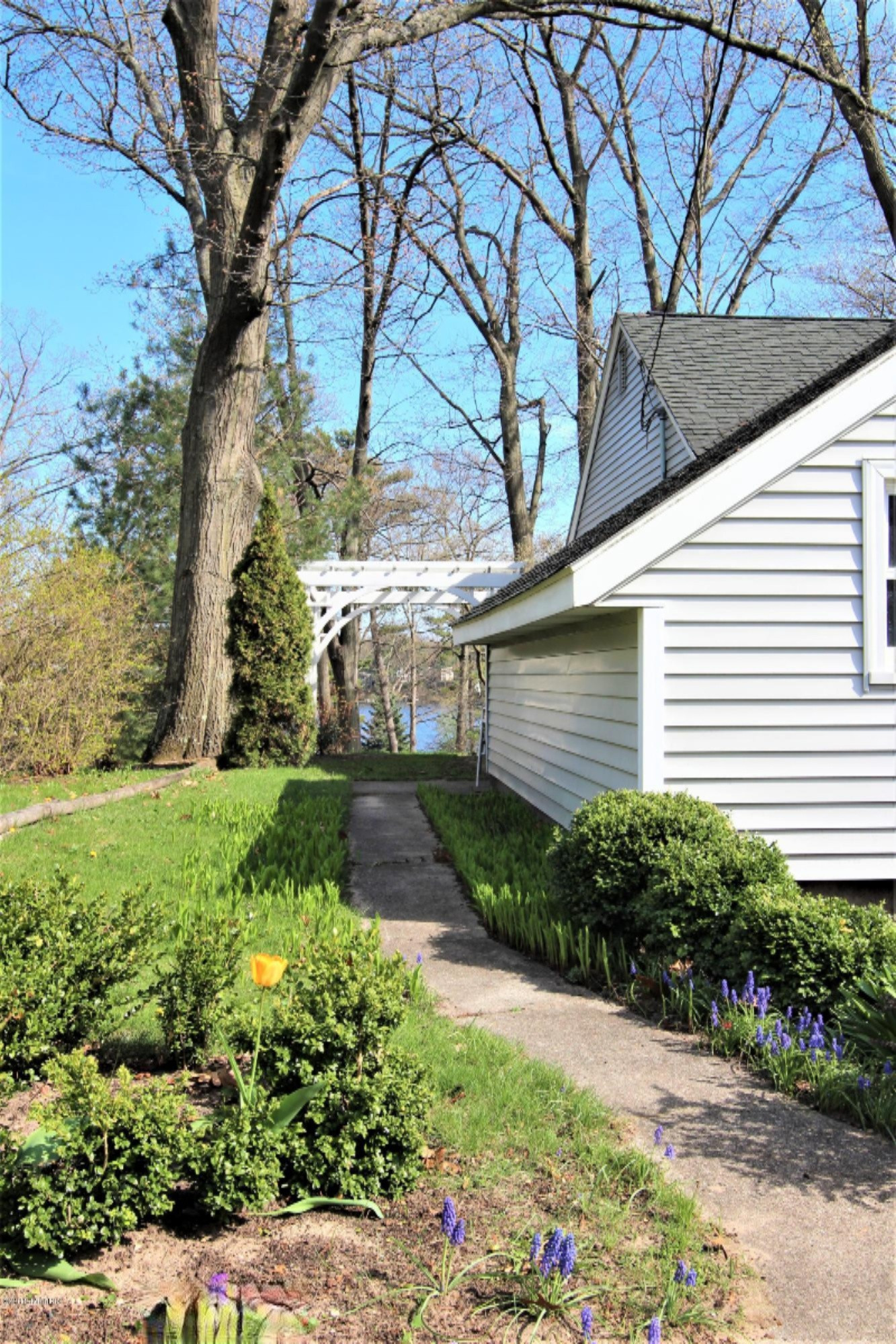 80 North Bear Lake Road Muskegon, MI 49445 - Photo 20 of 61 Side Yard