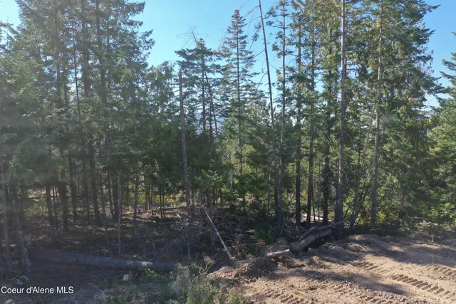 $99,900 | Nka Back Side Drive, St. Maries, ID 83861