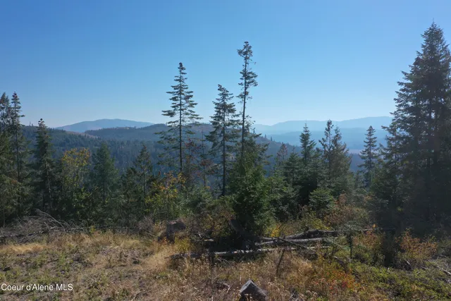 $99,900 | Nka Back Side Drive, St. Maries, ID 83861