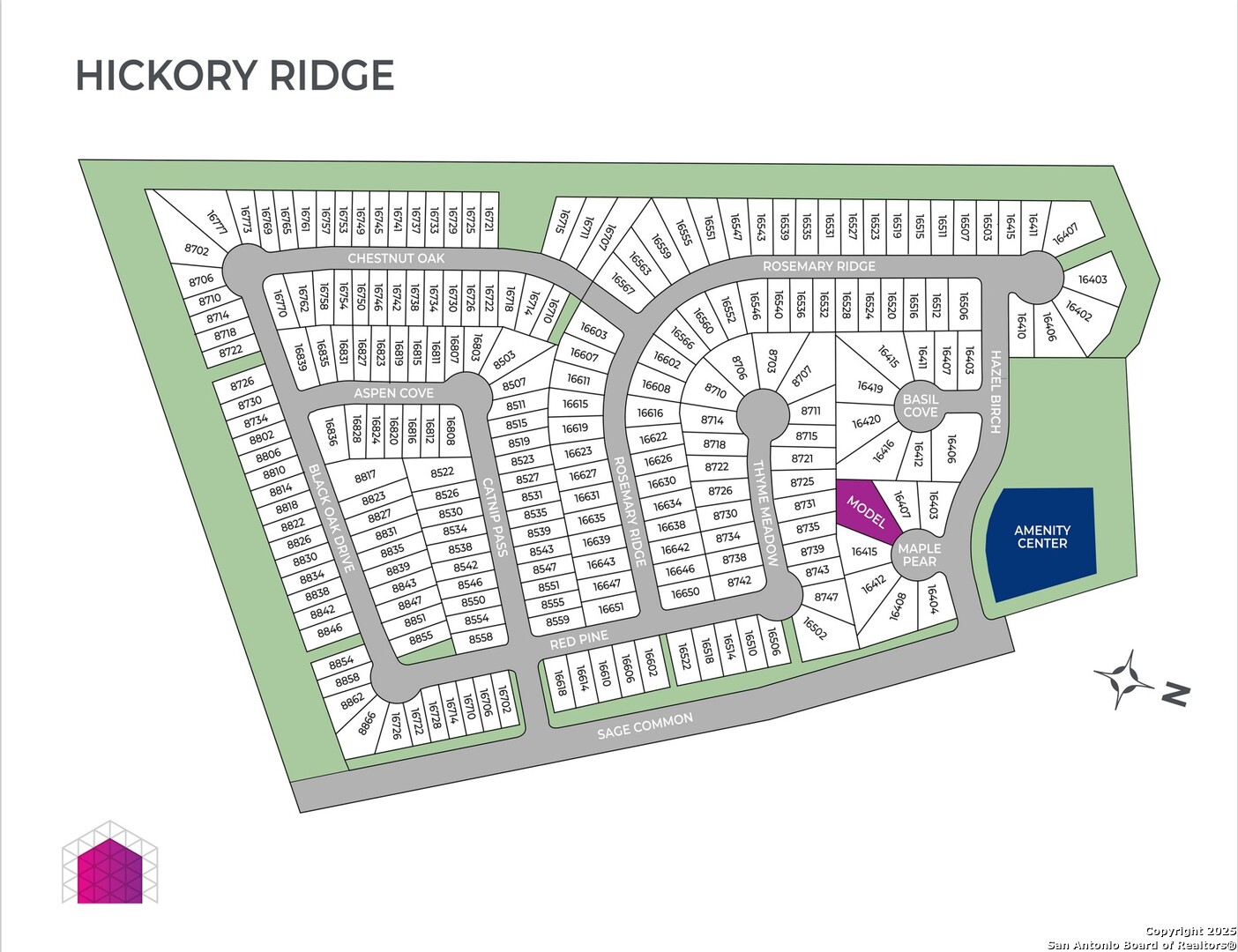 8550 Catnip Pass Elmendorf, TX 78112 - Photo 31 of 31