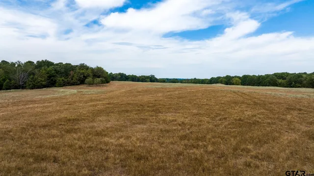 a view of a lake and mountain in the back