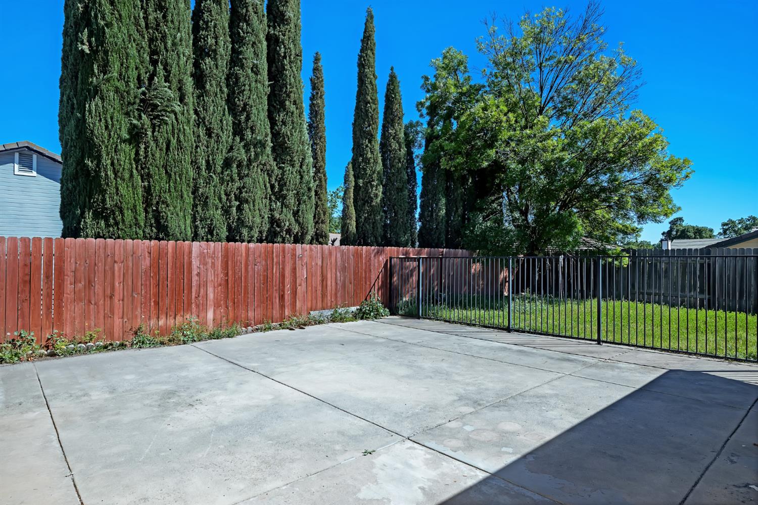 614 Brookview Court Ione, CA 95640 - Photo 19 of 24 a view of backyard and trees