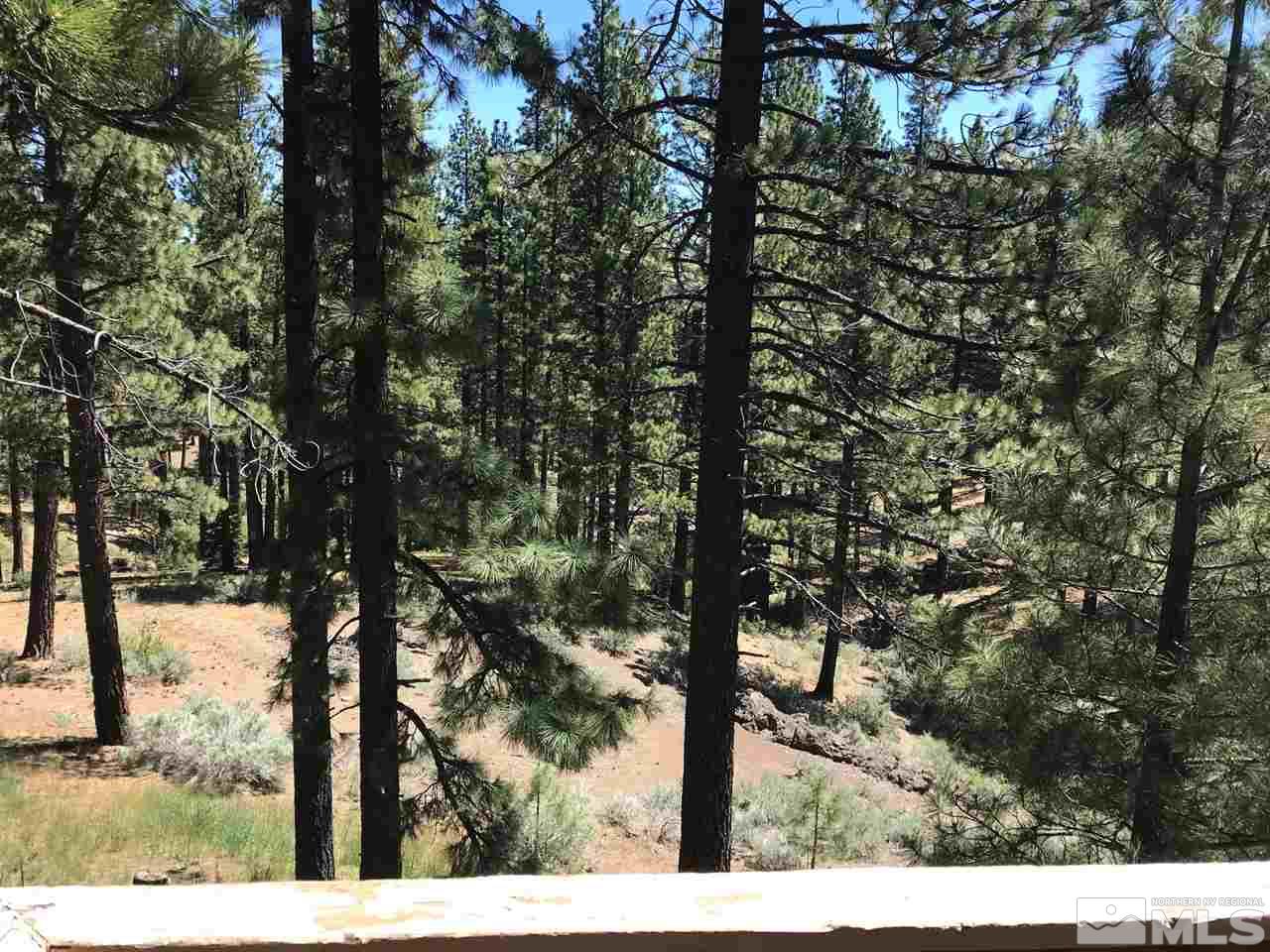 60 Lava Cap Markleeville, CA 96120 - Photo 20 of 20 a view of a yard