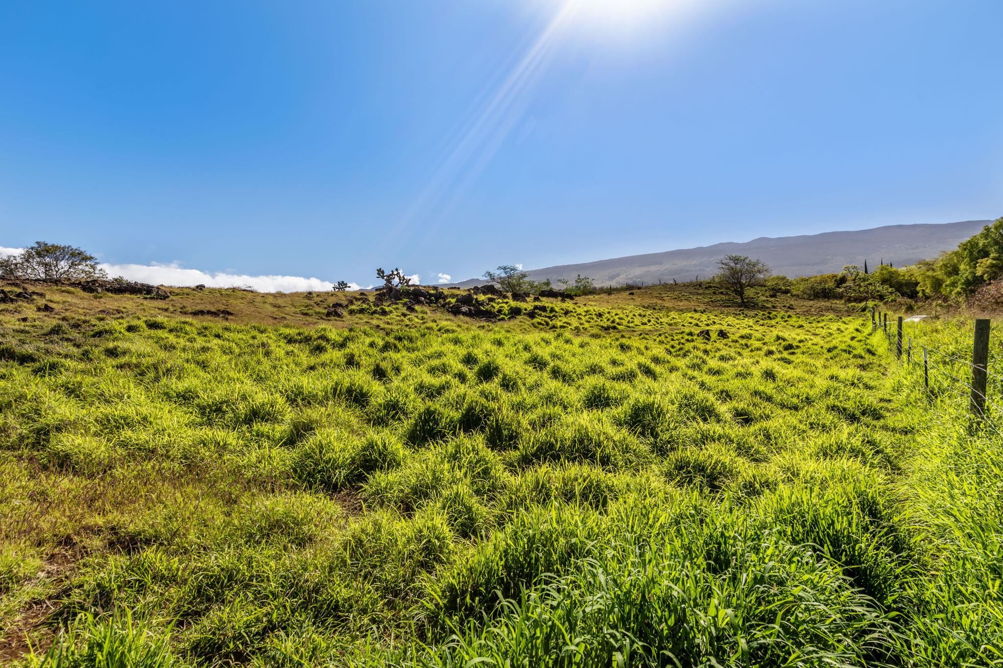 0 Calasa Road Kula, HI 96790 - Photo 4 of 39