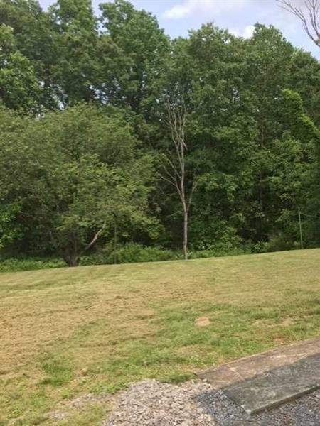 60 Superior Road Tarentum, PA 15084 - Photo 2 of 9 PRIVATE LEVEL AND TREED REAR YARD. PERFECT FOR SUMMER GAMES.