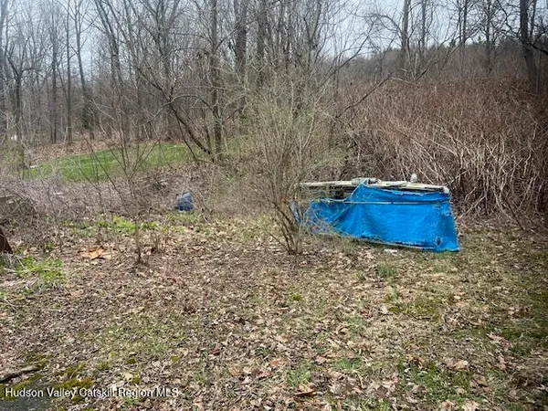 a wooden bench sitting in a forest