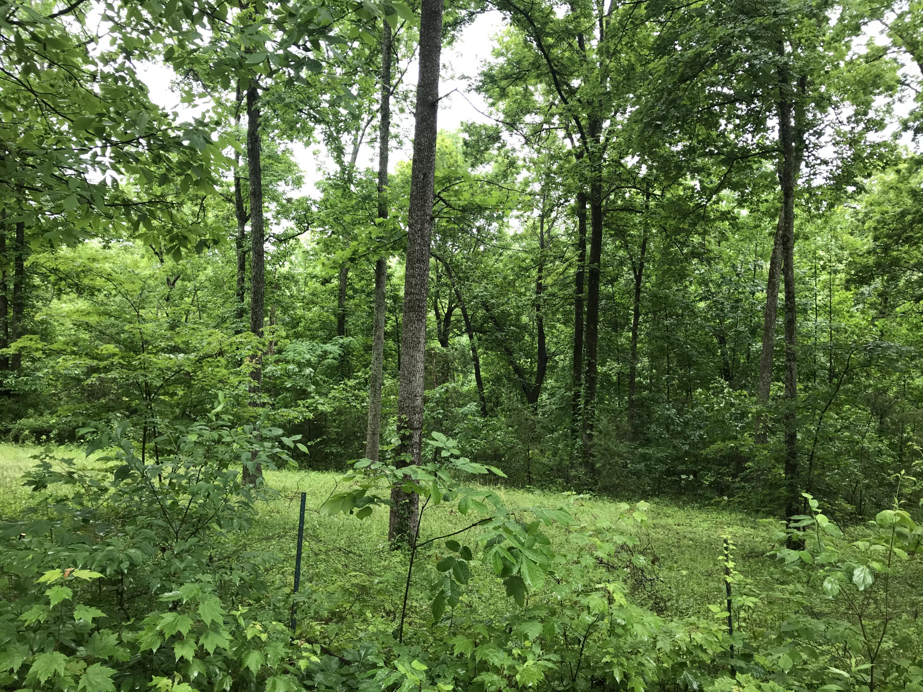 1512 Cub Run Road Wellington, KY 40387 - Photo 26 of 32 D96299E9-F16B-4635-B543-162D9EF488B5