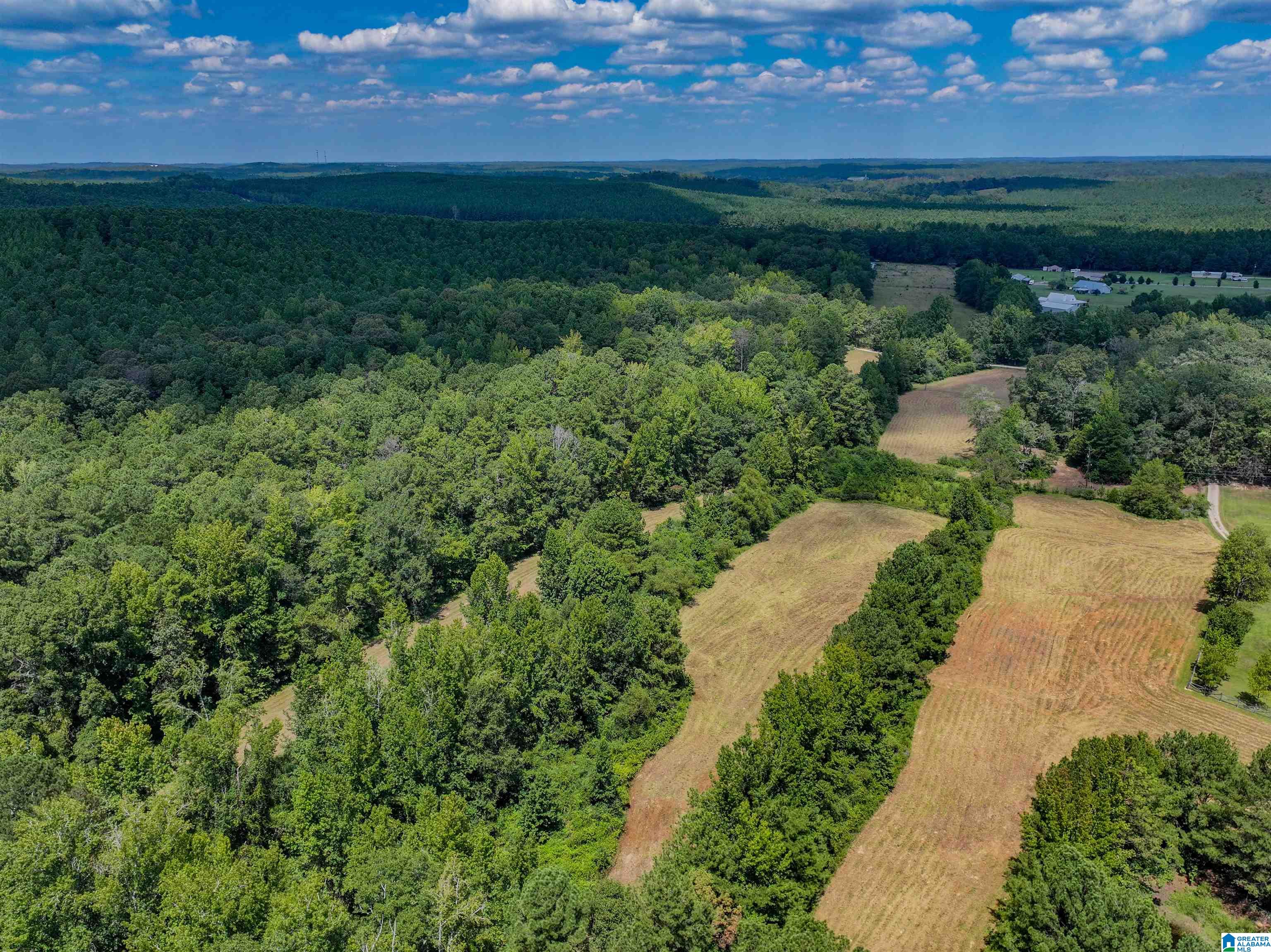 11643 Carter Road Vance, AL 35490 - Photo 5 of 10