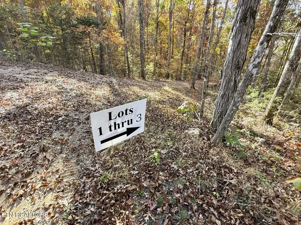 $253,500 | 1-3 Topaz Way, Parrottsville, TN 37843
