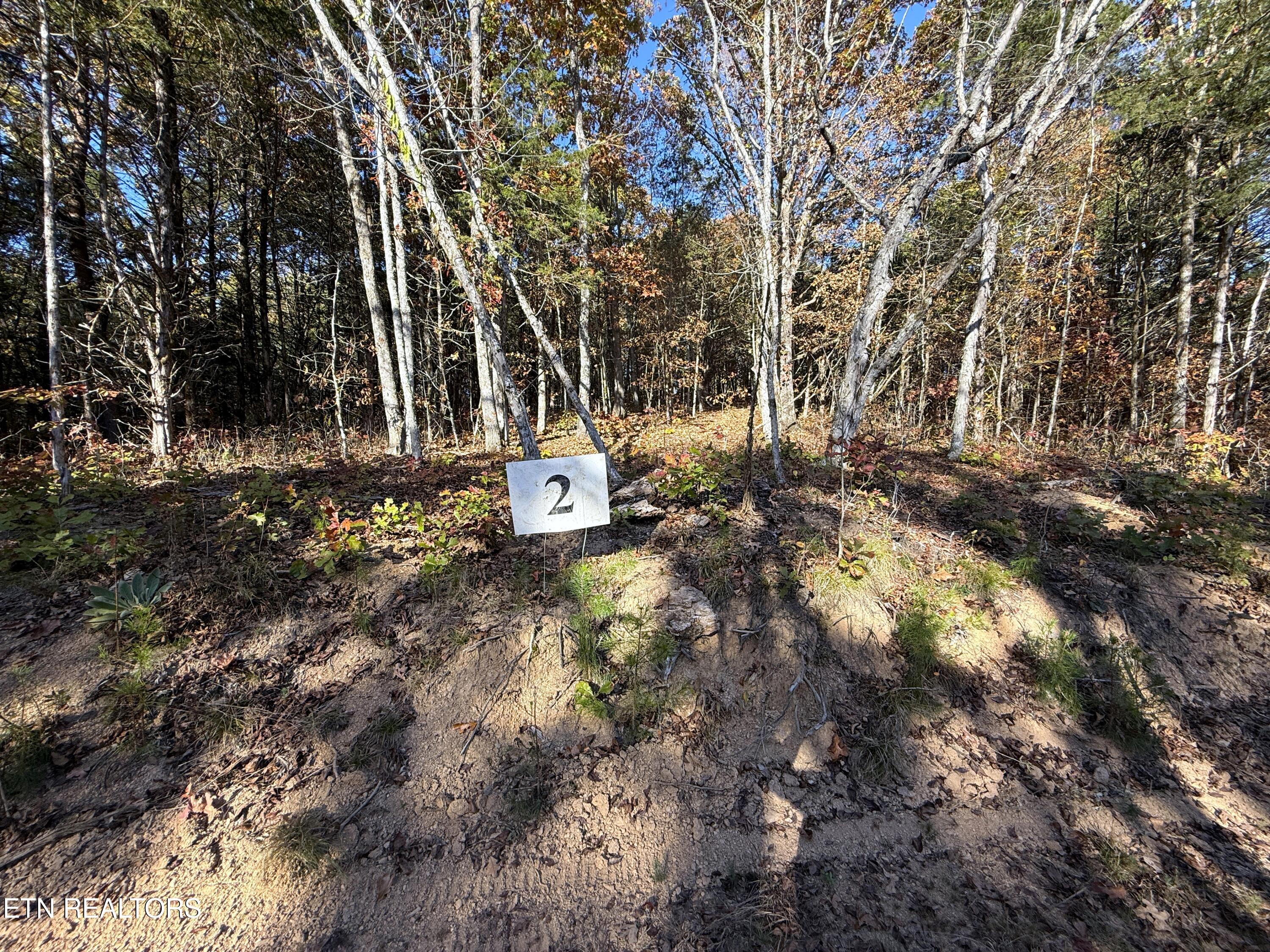 1-3 Topaz Way Parrottsville, TN 37843 - Photo 12 of 23 1