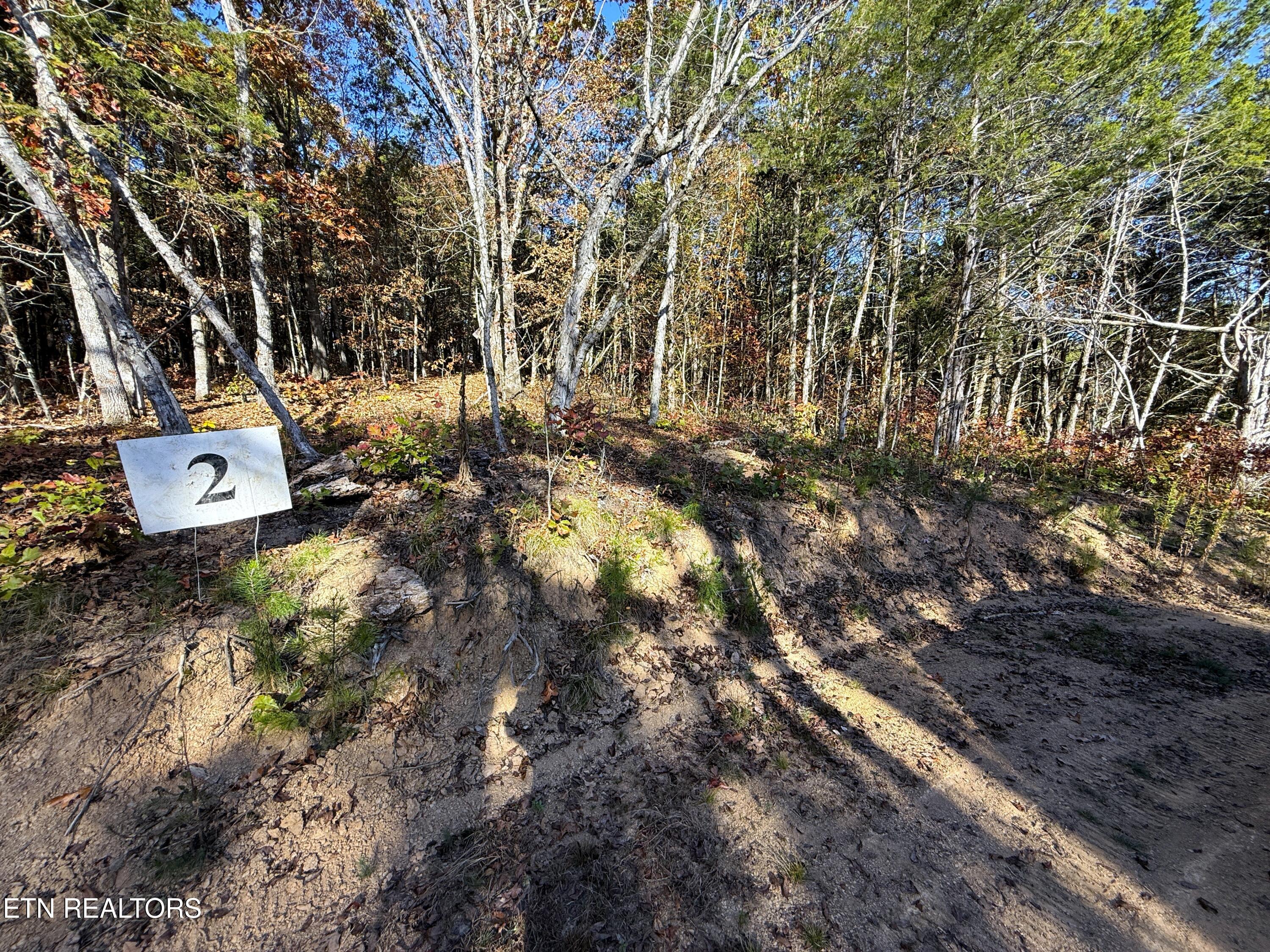 1-3 Topaz Way Parrottsville, TN 37843 - Photo 14 of 23 2