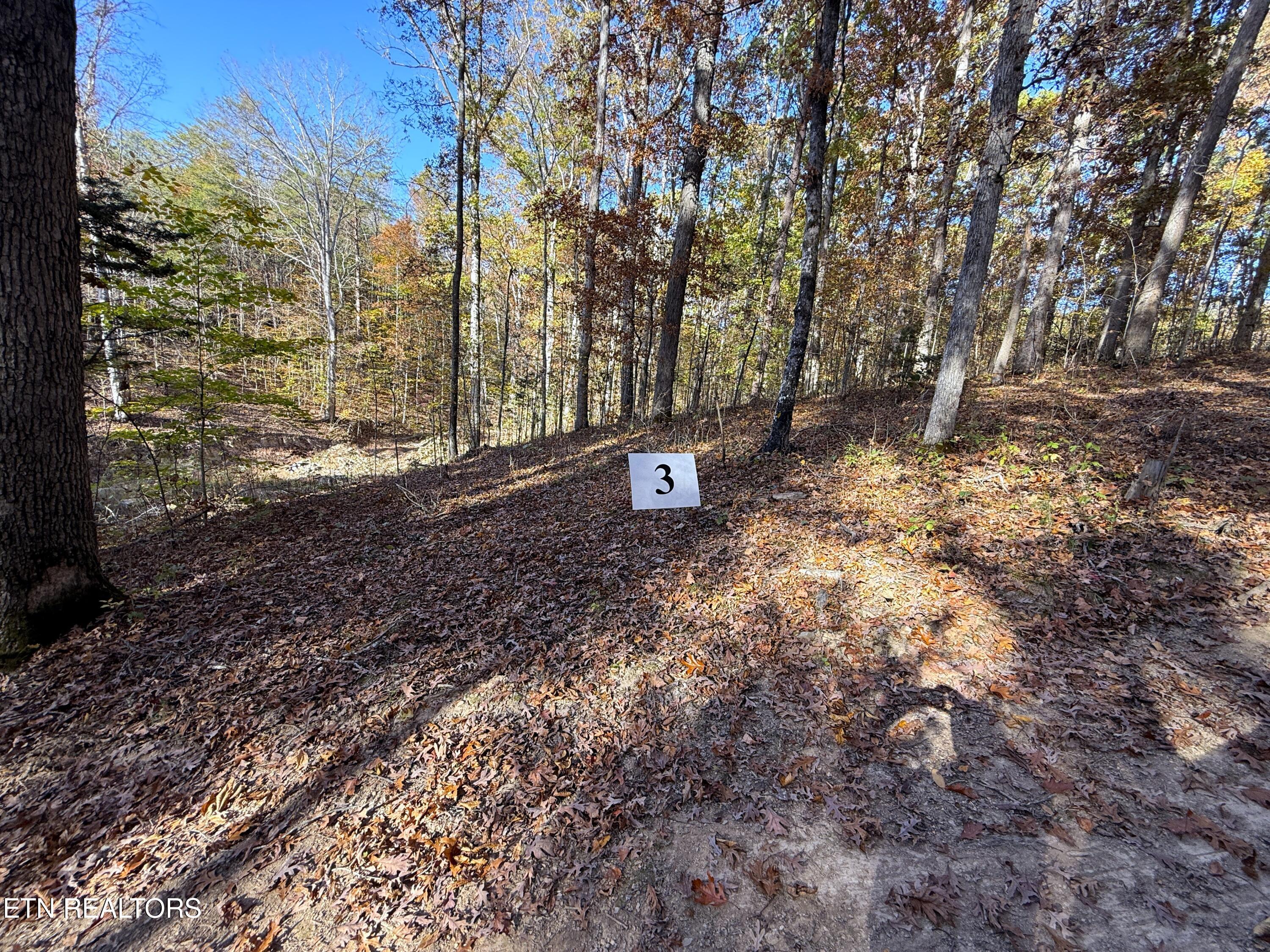 1-3 Topaz Way Parrottsville, TN 37843 - Photo 19 of 23 1