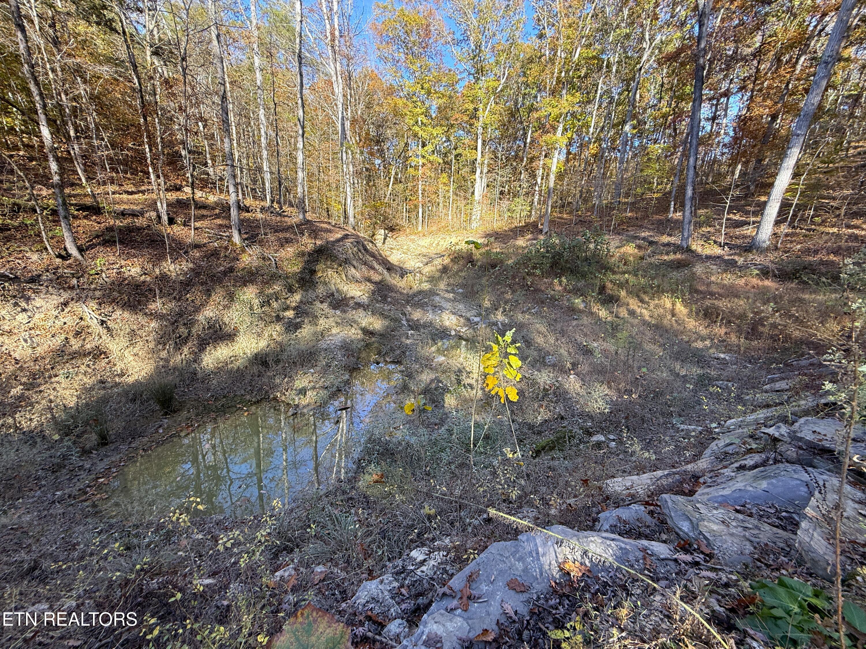 1-3 Topaz Way Parrottsville, TN 37843 - Photo 21 of 23 3