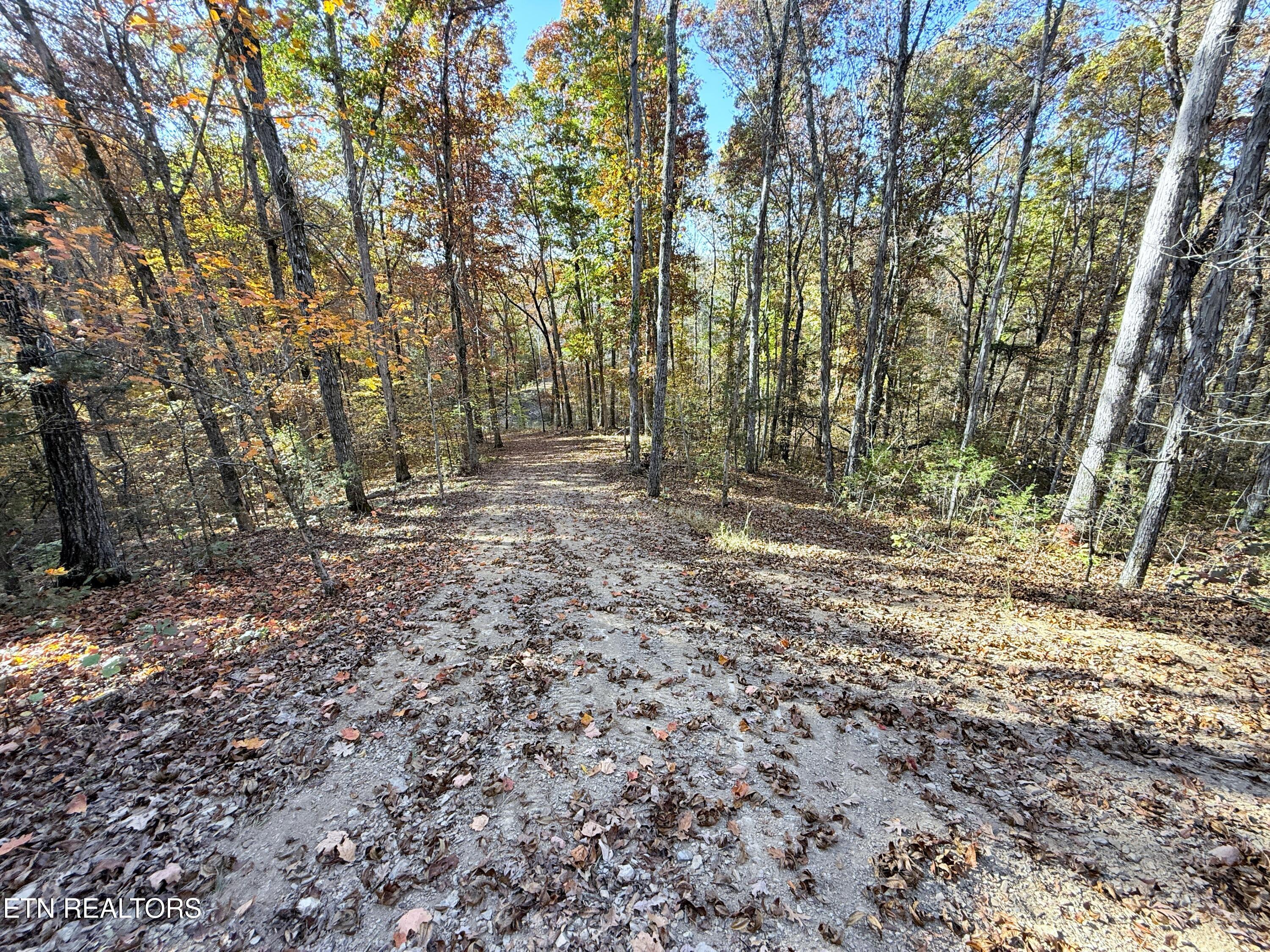 1-3 Topaz Way Parrottsville, TN 37843 - Photo 22 of 23 4