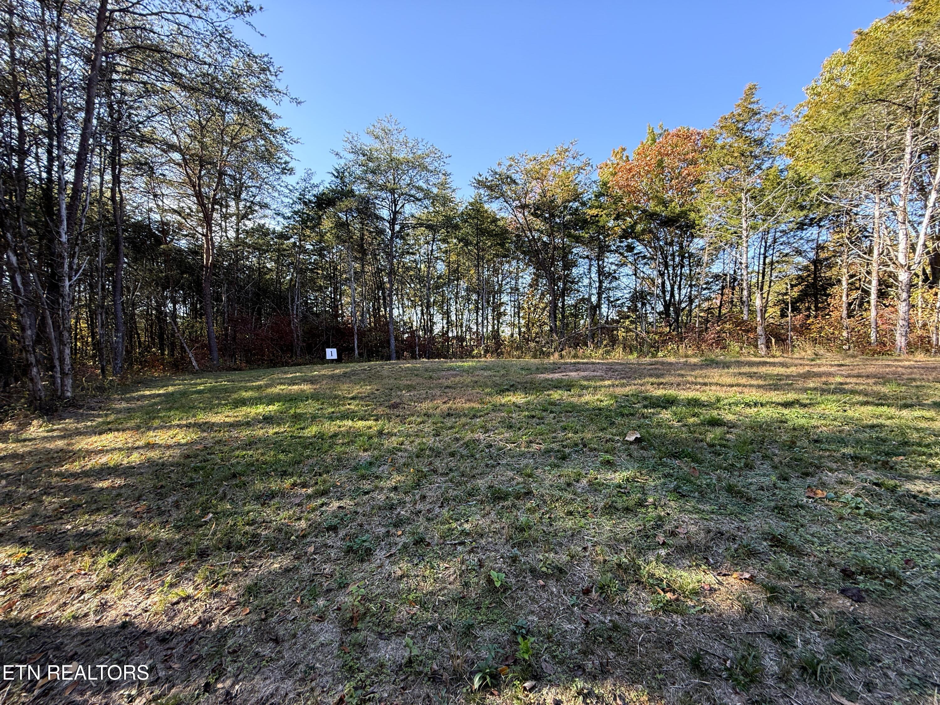 1-3 Topaz Way Parrottsville, TN 37843 - Photo 4 of 23 1