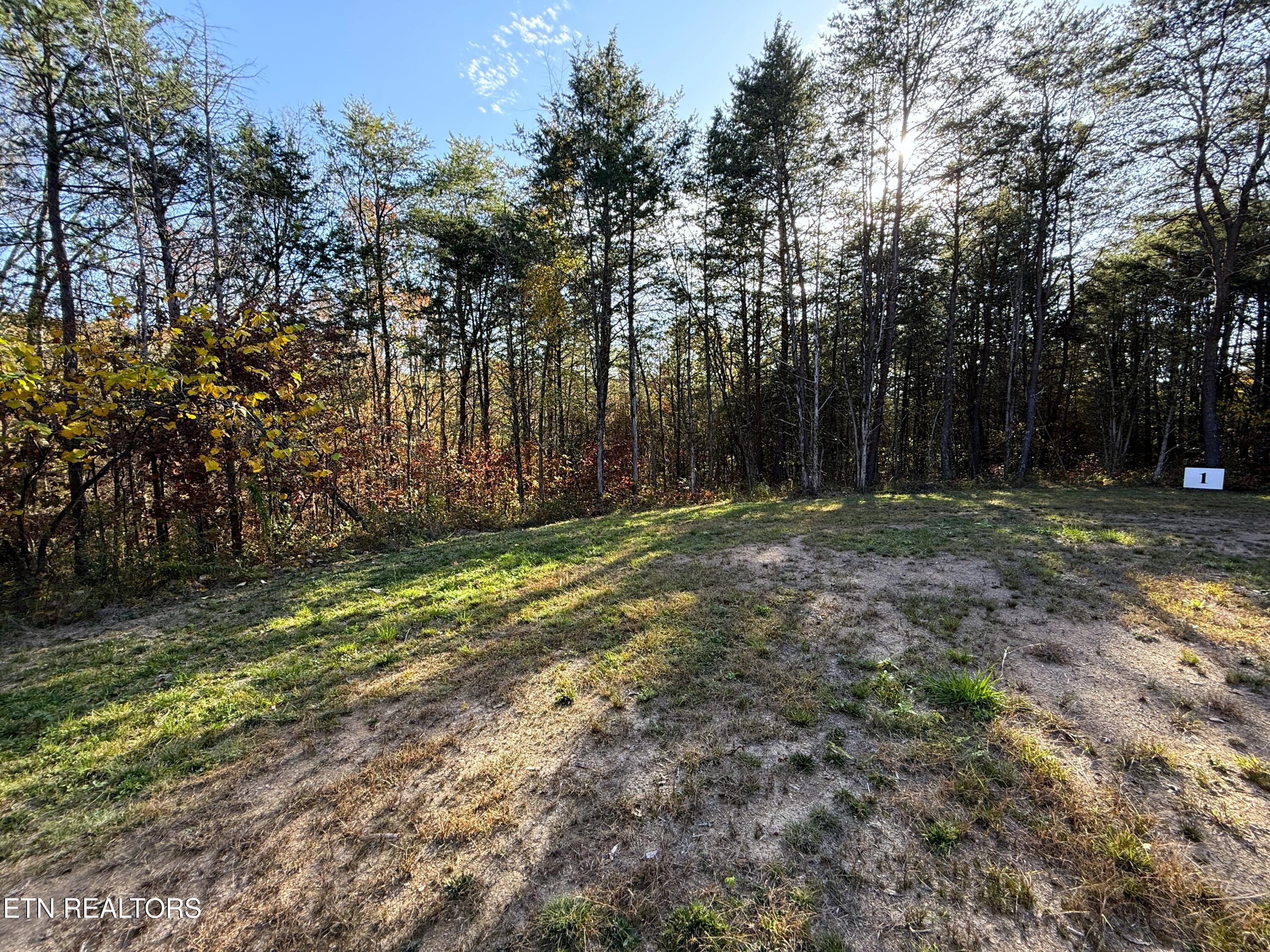 1-3 Topaz Way Parrottsville, TN 37843 - Photo 5 of 23 2