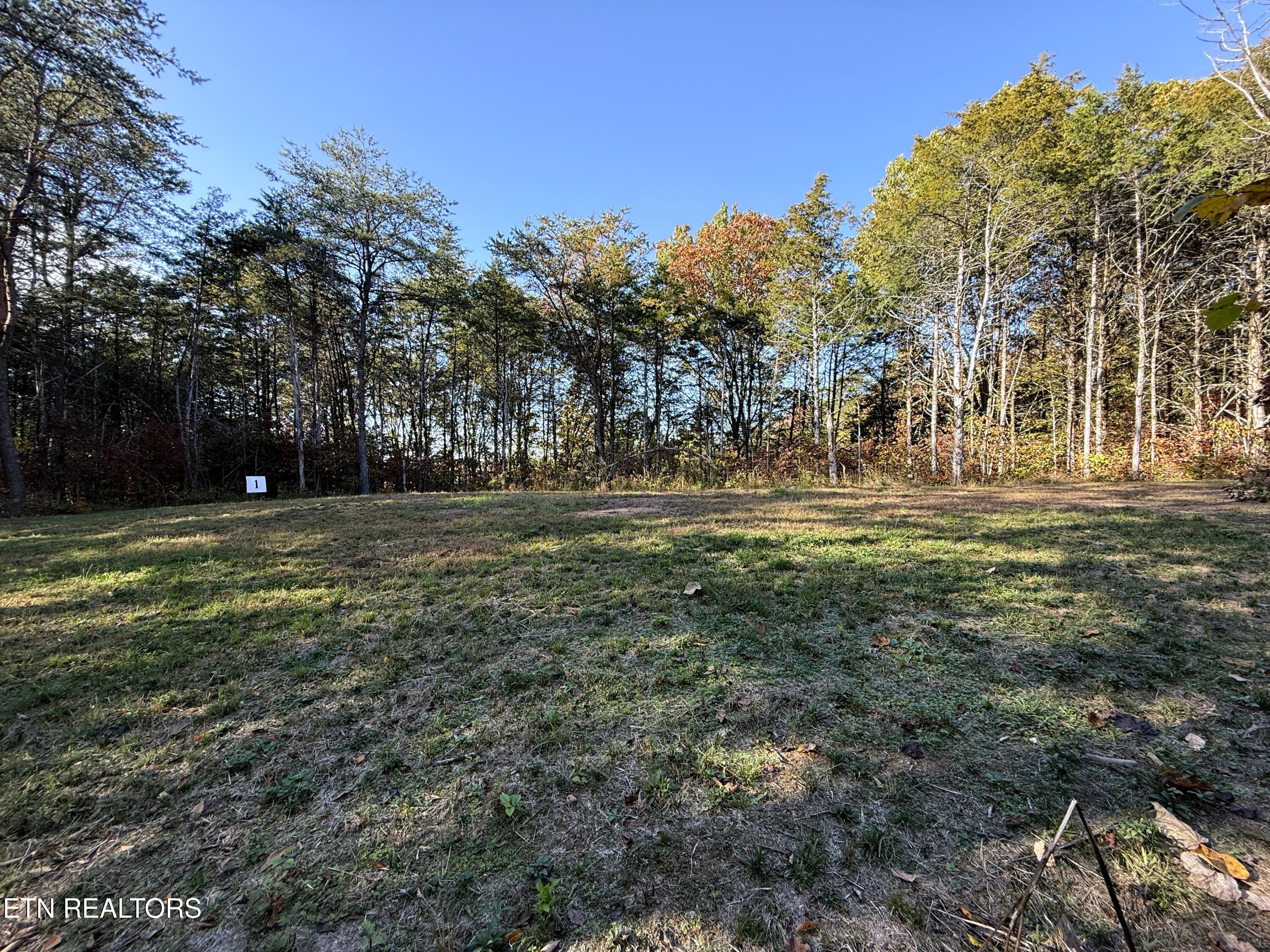 1-3 Topaz Way Parrottsville, TN 37843 - Photo 6 of 23 3