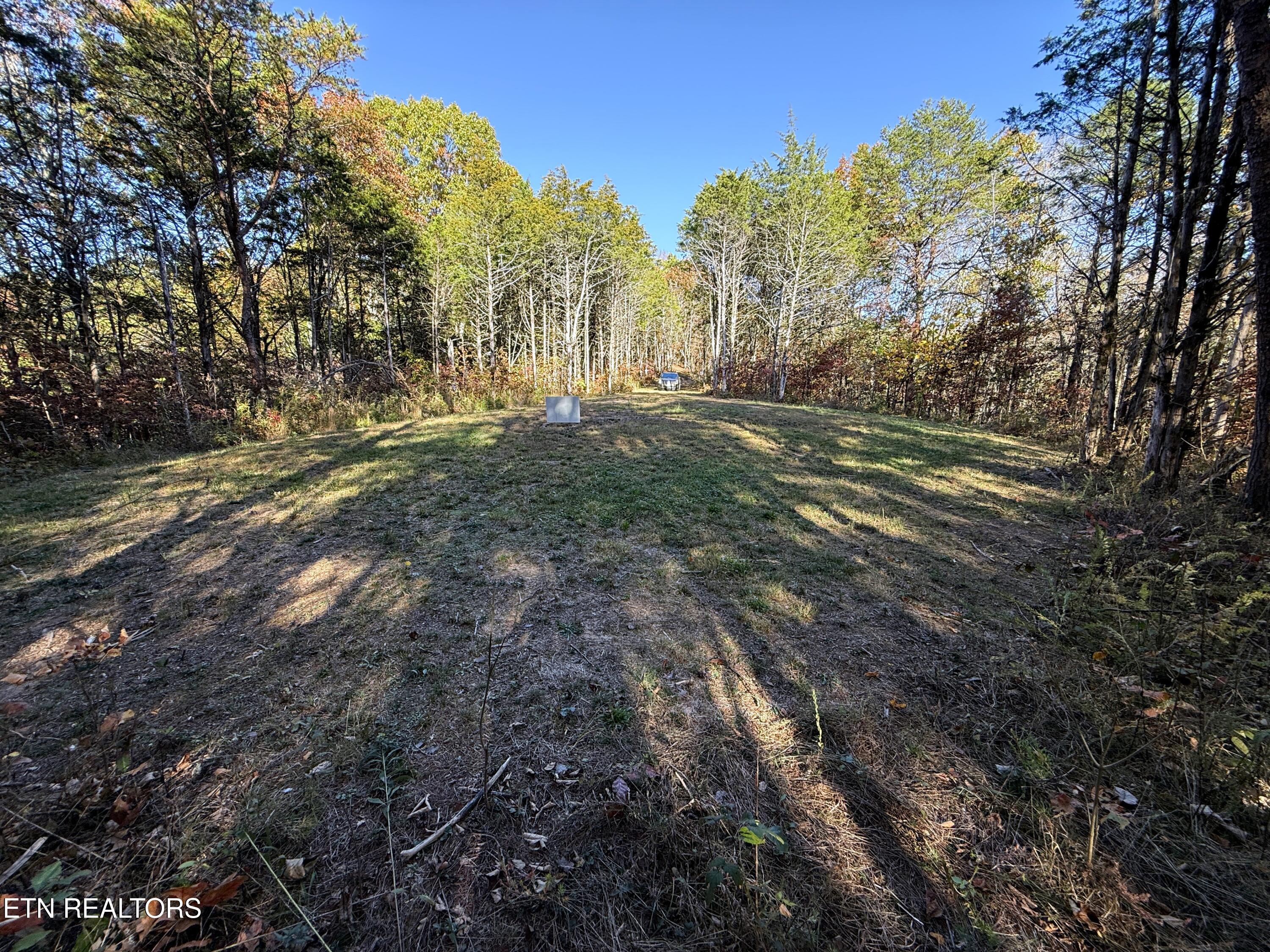 1-3 Topaz Way Parrottsville, TN 37843 - Photo 8 of 23 5