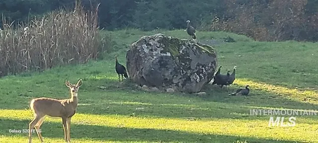 $995,000 | 112 Three Forks Road, Kamiah, ID 83536