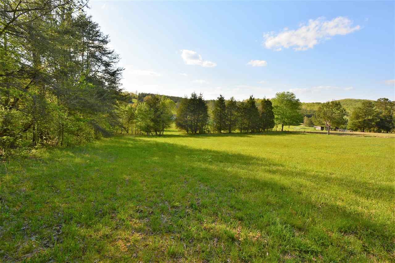 460 County Road 181 Decatur, TN 37322 - Photo 5 of 8
