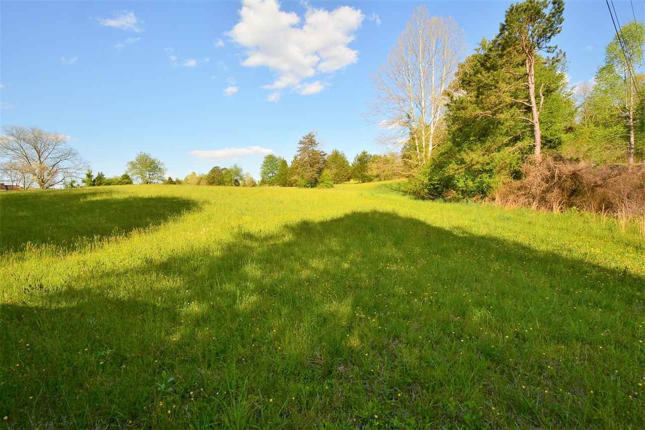 460 County Road 181 Decatur, TN 37322 - Photo 6 of 8