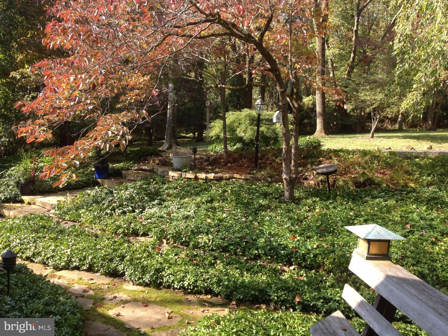 248 Harvey Road Chadds Ford, PA 19317 - Photo 3 of 22 View from Front Door