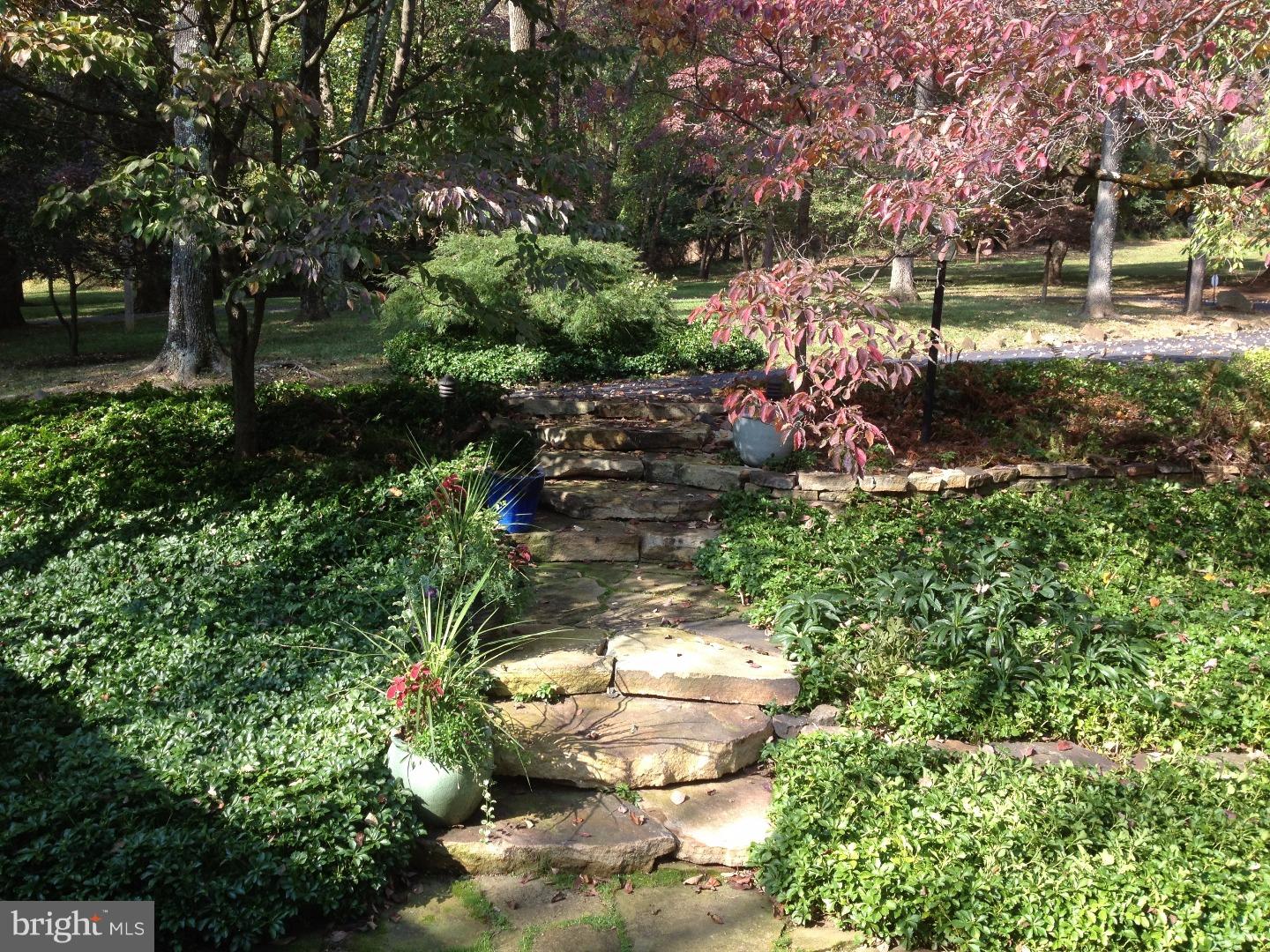 248 Harvey Road Chadds Ford, PA 19317 - Photo 4 of 22 View from Front Door
