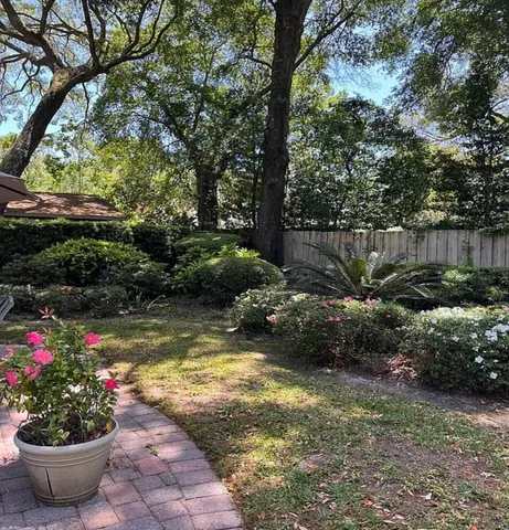 a view of a backyard with plants and large trees