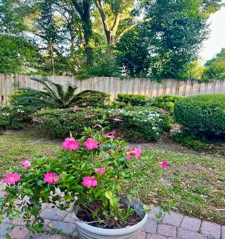 a view of a flower in a garden of a house