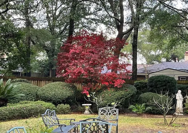 a backyard of a house with lots of green space and lake view