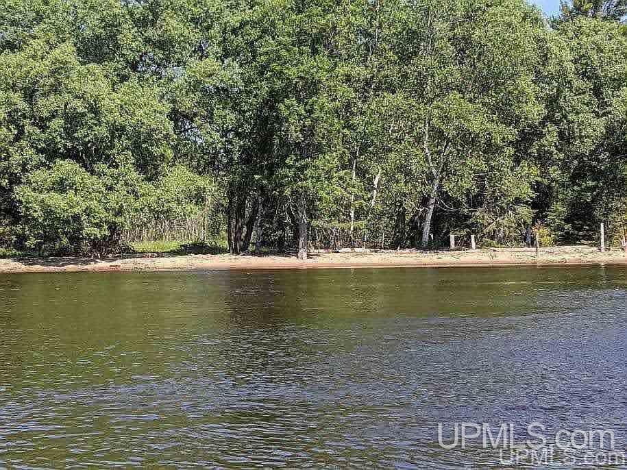 4188 South M35 Road Cornell, MI 49818 - Photo 4 of 4