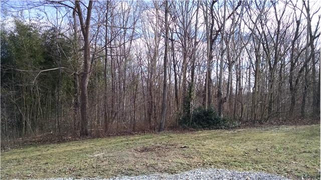 1120 Blake Road Lyles, TN 37098 - Photo 19 of 20 Great backyard space ~ Very peaceful with the woods behind you
