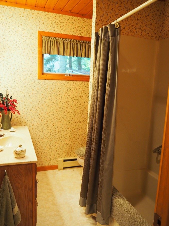 5350 West Cove Road Honor, MI 49640 - Photo 13 of 38 1847326-16.JPG