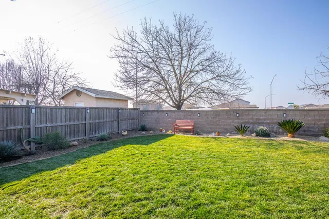 a view of a backyard with a large tree and wooden fence