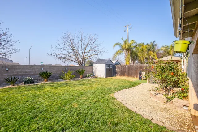 a view of a backyard with plants and trees